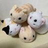 Profilbild von まるねこパパさん