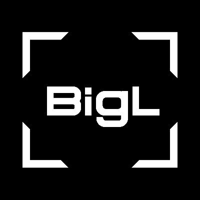 BigL_NFT's profile picture