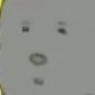 ナラ's profile picture