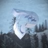 Polar's profile picture