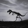 Lila profil fotoğrafı