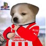DimaFox1118 profil fotoğrafı