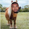 Pony's profile picture