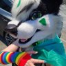 💚 Gloopsky 💚 レイデン・ハスキー profil fotoğrafı