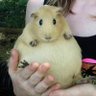 Potoooooooo's profile picture