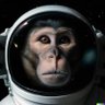 Viv2me profil fotoğrafı