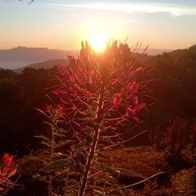 pornnop3552's profile picture
