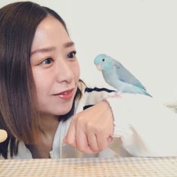 MW_kyoko_westTK's profile picture