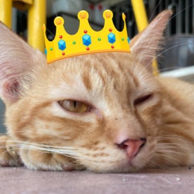 YOONRAN5's profile picture