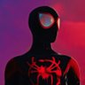 Profilbild von chris