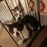 yu-ki profil fotoğrafı