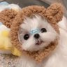 Profilbild von xiuxiuxiuduang（🧡 Ordzaar）