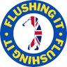 Flushing It's profile picture