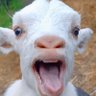 ¿^_^? profil fotoğrafı