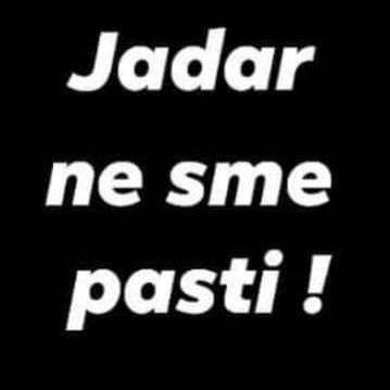 Udruženje NE DAMO JADAR's profile picture