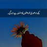 پناہ گیر profil fotoğrafı