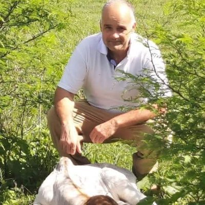Fede Krause Veterinario's profile picture