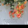 Фото профиля جمــيله القحطاني. .