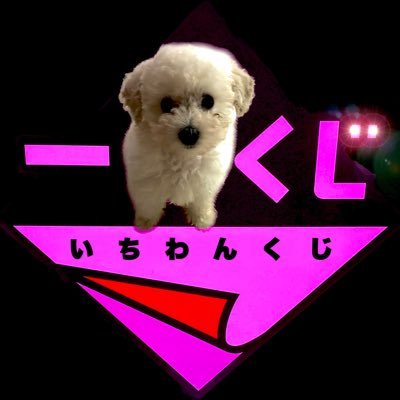 toroco_toromi's profile picture