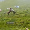 Фото профиля رحله حول العالم