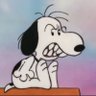 Profilbild von Feral Williams