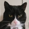 Profilbild von Mo🐈‍⬛ & Jo👵