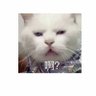 Alan's profile picture