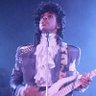 PrinceFan 的头像