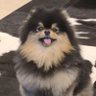 P'vvop 的头像