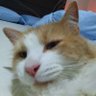 Profilbild von onob