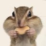 bel (closed)'s profile picture