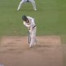 Profilbild von Is Nathan Lyon Batting?