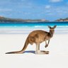 Yankee Jan- Down Under's profile picture