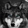 Lone Wolf's profile picture