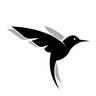 Black Bird's profile picture