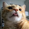 MetroidSlayerP7's profile picture