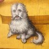 AicRaj's profile picture