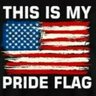 AmericanCitizenPatriot's profile picture