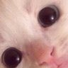 Profilbild von Strellson Play
