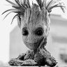 🛎️🦉 Don QuigrOOt official ❌ 🎺 🍀 profil fotoğrafı