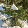 Fosilní_Rek's profile picture