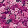 Фото профиля Mamabear