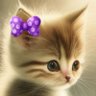 ミミ🐾🍥(民主主義を守ろう)'s profile picture