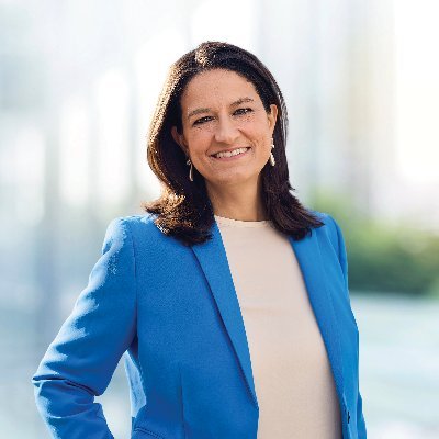 Niki Kerameus's profile picture