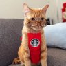 Mr.Coffee ☕'s profile picture