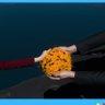 yourselfteacher's profile picture