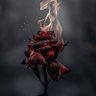 Diana's profile picture