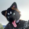 sobach'ka 🐕's profile picture