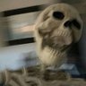 Profilbild von Omar2718