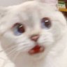 Milky.P's profile picture